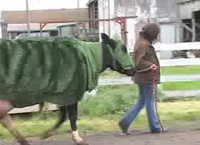 This all terrain EBE abduction protection armour includes camouflage, tin foil & all weather waterproofing. Access/Exit patches for shitting & breeding.