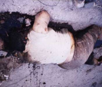 Click on image to see full-sized version Forgotten Fallujah