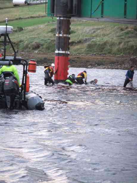 Click on image to see full-sized version Initial scramble to under the rig