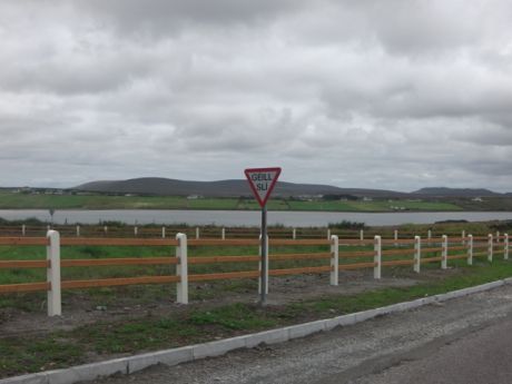 This Shell funded "community enhancement" recently replaced an old hederow