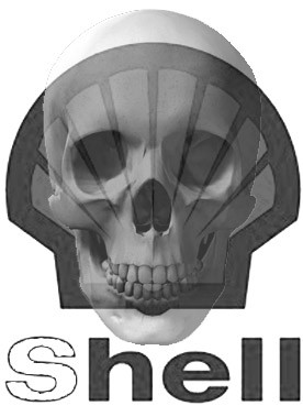 shell_skull_bw.jpg