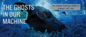 Irish Movie Premiere - The Ghosts in Our Machine