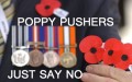 poppy.jpg poppy.jpg