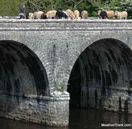 The Navan Clonsilla Boyne Viaduct - nowadays only used by cattle