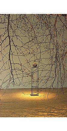 Rood IV- Alice Maher